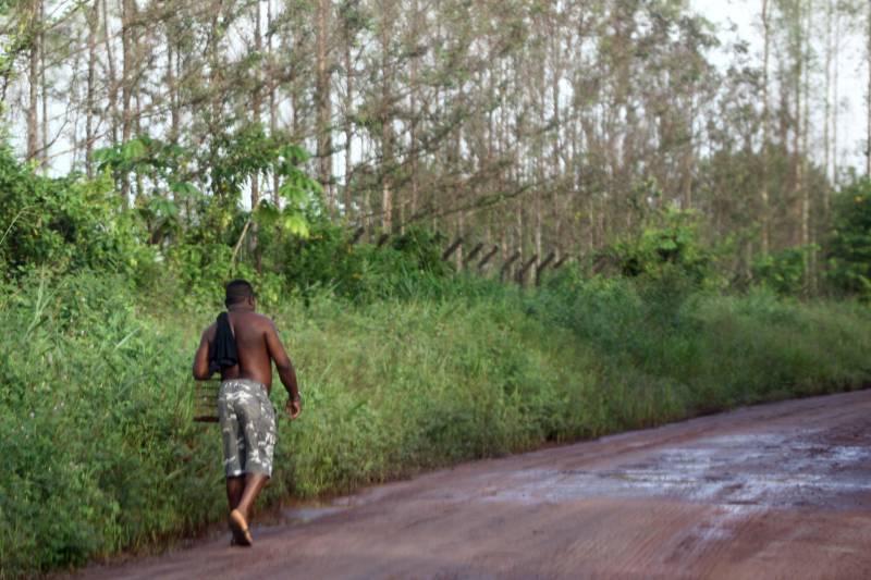 “Ter a posse da terra é a certeza de que nunca iremos perder o nosso direito, que nossos filhos e nossos netos poderão dar continuidade a nossa história em segurança. Foram anos de luta até chegar esse dia, agraciados com a assinatura do nosso título de terra. Só temos a agradecer a todos que fizeram parte disso e a cada um que lutou junto para que hoje isso se tornasse realidade”. A fala emocionada foi de seu Mário Araújo Silva, presidente da Associação Remanescente de Quilombo Espírito Santo, localizada no município do Acará, no nordeste do Estado. Ele assinou, neste sábado (24), junto com o governador Simão Jatene, o título que dá a posse da terra a comunidade. A fala do presidente traduz o sentimento das dezenas de famílias que moram no local, que agora tem a posse legítima do local onde seus antepassados viveram. “Sou filho de mãe negra. Nasci aqui como minha vó, bisavó, que fazem parte da história dessa comunidade que já existe a mais de 300 anos.
FOTO: SIDNEY OLIVEIRA / AG. PARÁ
DATA: 24.03.2018
ACARÁ - PARÁ <div class='credito_fotos'>Foto: Sidney Oliveira/Ag. Pará | <a href='/midias/2018/originais/58a21c6a-cddf-43b3-9d22-beaf7effde16.jpg' download><i class='fa-solid fa-download'></i> Download</a></div>