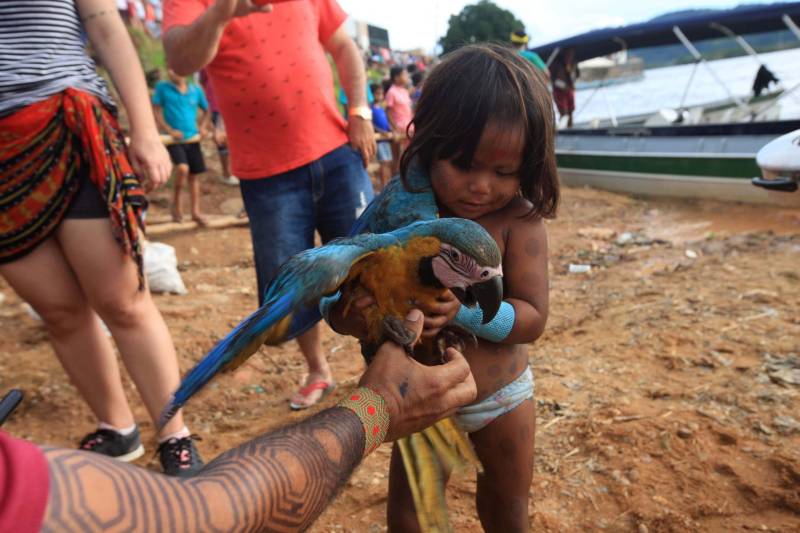 Eles vêm entoando cantos, em danças cadenciadas. A pele é pintada e os corpos estão cobertos por vestimentas típicas, feitas de miçangas, penas de animais e sementes de frutos. Exibem a exuberante força, que vem do coração, prontos para mais uma Semana dos Povos Indígenas. O maior evento do gênero no Estado começou neste domingo (15), com a chegada das cerca de 70 embarcações que se encontram no cruzamento dos rios Xingu e Fresco, na orla da cidade de São Félix do Xingu, sudeste do Pará.
FOTO: RODOLFO OLIVEIRA / AG. PARÁ
DATA: 15.04.2018
SÃO FÉLIX DO XINGU - PARÁ <div class='credito_fotos'>Foto: Rodolfo Oliveira/Ag. Pará | <a href='/midias/2018/originais/59050dac-af9a-4e78-9c28-1bb9884fcd86.jpg' download><i class='fa-solid fa-download'></i> Download</a></div>