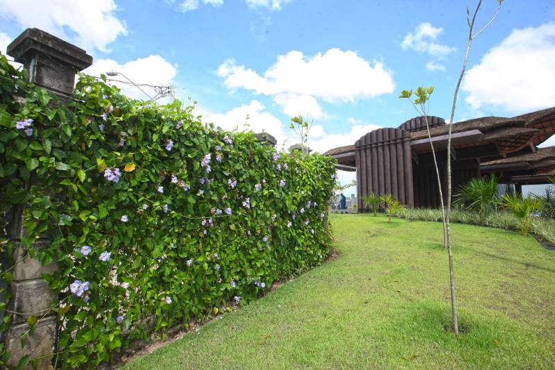 Bastante aguardado, o novo Parque Estadual do Utinga (PEUt) será reaberto ao público pelo Governo do Estado nos próximos dias 16 e 17 de março. Os serviços do mais importante espaço de preservação e estudo da biodiversidade dentro da Região Metropolitana de Belém serão oferecidos em caráter experimental. Na sexta-feira, a partir das 16h30, serão realizadas apresentações artísticas, com o Boi Veludinho, crianças do Pro Paz e a premiada Orquestra Sinfônica do Theatro da Paz. A apresentação será em um espaço ao ar livre e não será necessária a retirada de ingressos, por esse motivo, a recomendação é que o público chegue cedo, porque a entrada será fechada quando o espaço estiver lotado. No sábado, será realizada uma grande caminhada, a partir das 8 horas, com paradas para informações educativas sobre a fauna, flora e sobre os novos espaços. Por conta da grande quantidade de pessoas, incluindo crianças e idosos, o Corpo de Bombeiros recomendou e, a organização do evento acatou, a necessidade de se evitar durante a manhã do sábado o trânsito de veículos sobre rodas, como carros, bicicletas, skates e patins. Depois das 12 horas e durante todo o funcionamento do parque, a entrada e o uso por praticantes desta modalidade está completamente liberada no Parque. No domingo, o parque funciona normalmente ao público no horário de 5h30 às 17h, assim como nos outros dias, de segunda a segunda.
FOTO: IGOR BRANDÃO / AG PARÁ
DATA: 11.032018
BELÉM - PARÁ <div class='credito_fotos'>Foto: IGOR BRANDÃO / AG. PARÁ | <a href='/midias/2018/originais/5a33e62e-fc38-4129-affd-8f7baf4d4ee6.jpg' download><i class='fa-solid fa-download'></i> Download</a></div>