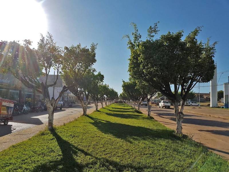 Técnicos das Secretarias Estaduais de Municípios Sustentáveis (Semsu) e de Gestão Estratégica (Seegest) estão no município de São Félix do Xingu (foto) para avaliar e alinhar as ações que estão sendo realizadas na implementação do projeto piloto dos Municípios Emblemáticos. A reunião com a equipe municipal foi realizada nesta terça-feira, 05, no auditório da Secretaria Municipal de Meio Ambiente (Semmas). O projeto de Município Emblemático congrega um reforço de ações previstas no Programa Municípios Sustentáveis (PMS) a fim de gerar cases que possam ser replicados em outras localidades. As ações foram definidas em parceria com as secretarias municipais que apontaram necessidades e propostas de desenvolvimento nos eixos social, ambiental e econômico, definidos a partir do workshop realizados em dezembro do ano passado, com os agentes realizadores do Estado e da Prefeitura Municipal.

FOTO: ASCOM / SEMSU
DATA: 05.06.2018
SÃO FÉLIX DO XINGU - PARÁ <div class='credito_fotos'>Foto: DANI FILGUEIRAS / ASCOM SEMSU   |   <a href='/midias/2018/originais/5c10d15c-7022-4c39-a148-36b704e86770.jpg' download><i class='fa-solid fa-download'></i> Download</a></div>