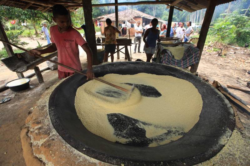 O dia começa cedo para a família do agricultor Adilson dos Santos, 33 anos. Produtores de mandioca da comunidade quilombola Boa Vista do Itá, de Santa Izabel do Pará, região metropolitana de Belém, eles são o retrato de uma tradição que vem se perpetuando por gerações e garantindo na mesa dos paraenses o produto que é a base alimentar do Estado. Do plantio ao beneficiamento, o lavrador herdou do pai a cultura que hoje é a principal fonte de renda da vila, onde vivem cerca de 50 famílias. No Pará, 96% da mandioca produzida vem da agricultura familiar. “Mandioca é pop, mandioca é tudo”, brinca Adilson. Ele está certo. Os produtos derivados da planta são diversos e ajudam a compor alguns dos pratos típicos mais conhecidos da região. Quase onipresente na mesa do paraense, a farinha é, muitas vezes, o alimento principal, nos sete dias da semana. Mas para chegar até as nossas casas, é preciso muito esforço e dedicação, aliado ao emprego de pesquisa e investimentos cada vez maiores do poder público. O conhecimento empírico do homem do campo hoje recebe o apoio de novas tecnologias e técnicas de plantio, que resultam em mais qualidade e produtividade.
FOTO: MÁCIO FERREIRA / AG PARÁ
DATA: 25.02.2018
SANTA IZABEL DO PARÁ
<div class='credito_fotos'>Foto: MÁCIO FERREIRA/ AG. PARÁ | <a href='/midias/2018/originais/5c7d9e29-a03b-4c00-9adf-c9ea81c6c5ea.jpg' download><i class='fa-solid fa-download'></i> Download</a></div>