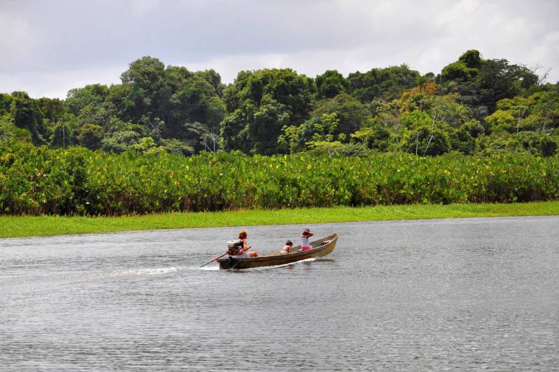 Com o objetivo de tornar público o processo de formação dos Conselhos Gestores do Refúgio de Vida Silvestre (Revis) Tabuleiro do Embaubal e Reserva de Desenvolvimento Sustentável (RDS) Vitória de Souzel (foto), o Instituto de Desenvolvimento Florestal e da Biodiversidade do Estado do Pará (Ideflor-bio) lançou, na terça-feira, 30, dois editais de chamada pública, a fim de que as entidades possam manifestar interesse em compor os conselhos.
FOTO: ASCOM IDEFLOR-BIO
DATA: 01.06.2017
XINGU - PARÁ <div class='credito_fotos'>Foto: Ascom Ideflor | <a href='/midias/2018/originais/5cb2441a-a112-401b-b179-c52404deb3a6.jpg' download><i class='fa-solid fa-download'></i> Download</a></div>