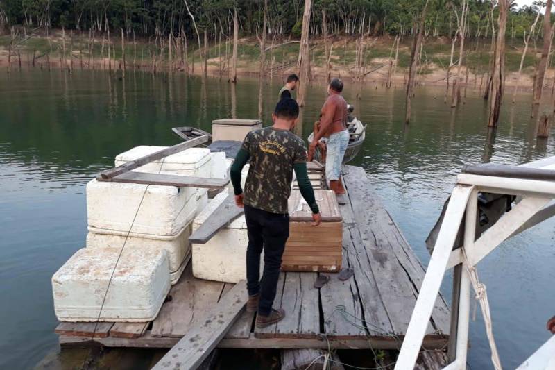 Mais de uma tonelada de peixes e 2 mil metros de malhadeiras irregulares foram apreendidas em mais uma missão de fiscalização na região do Mosaico Lago de Tucuruí, sudeste Paraense. A ação foi realizada pelo Instituto de Desenvolvimento Florestal e da Biodiversidade (Ideflor-bio), em parceria com a Secretaria Estadual de Meio Ambiente e Sustentabilidade (Semas), Polícia Militar - CPR IV, Eletronorte e as prefeituras de Tucuruí, Breu Branco, Goianésia do Pará, Jacundá, Itupiranga e Nova Ipixuna, municípios que compõem o Mosaico.
FOTO: ASCOM IDEFLOR
DATA: 16.11.2018
TUCURUÍ - PARÁ
<div class='credito_fotos'>Foto: Ascom Ideflor | <a href='/midias/2018/originais/5d2abce1-76c2-459e-97d7-09b75c874f45.jpg' download><i class='fa-solid fa-download'></i> Download</a></div>