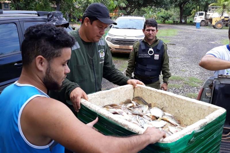 Uma mega operação de fiscalização nos municípios de Marabá e Nova Ipixuna apreendeu, neste domingo, 25, mais de uma tonelada de peixes retirados ilegalmente do Lago de Tucuruí. Foram apreendidos também apetrechos de pesca, como malhadeiras com tamanhos irregulares, além de caças e pássaros. A operação foi coordenada por equipes técnicas do Instituto de Desenvolvimento Florestal e da Biodiversidade (Ideflor-bio), em parceria com a Secretaria Estadual de Meio Ambiente e Sustentabilidade (Semas) e Polícia Militar.

FOTO: ASCOM IDEFLOR
DATA: 26.11.2018
MARABÁ-PARÁ <div class='credito_fotos'>Foto: Ascom Ideflor   |   <a href='/midias/2018/originais/5e323795-030f-4b44-8c1e-fc5ac5b95e39.jpg' download><i class='fa-solid fa-download'></i> Download</a></div>