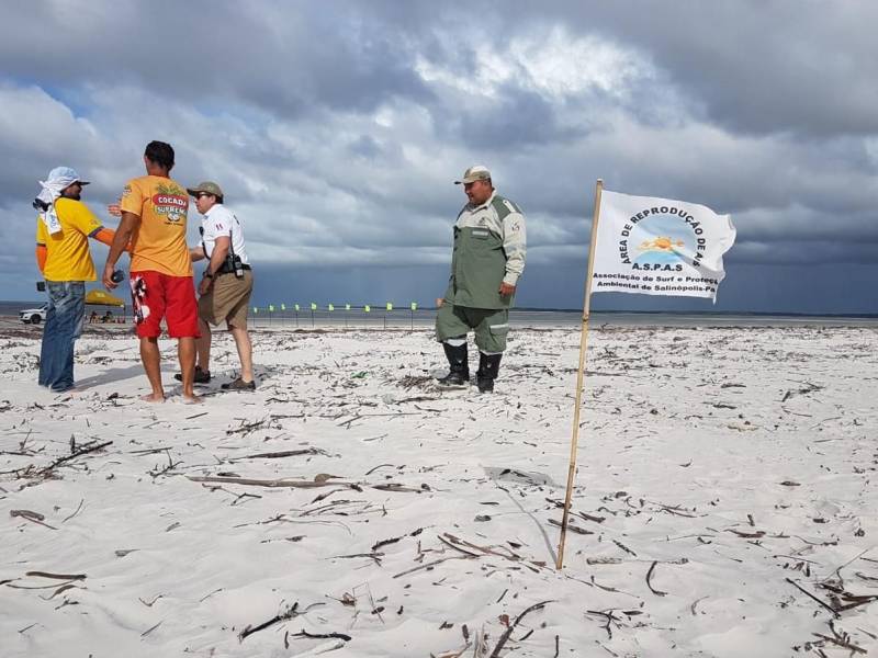 Cerca de 1.500 ovos de aves marinhas (foto) que começaram a desova em maio, na praia do Atalaia, em Salinópolis, ganharam um importante apoio neste final de semana, com o reforço da Zona de Exclusão de Veículos Automotores, uma das inovações da Operação Verão 2018, realizada pela Secretaria de Estado de Segurança Pública e Defesa Social (Segup). O santuário de ovos de gaivota é protegido pela Associação de Surf e Proteção Ambiental de Salinópolis, fundada em 2006 pelo local Antônio Paulo da Conceição, com o objetivo de proteger áreas ambientais e que hoje conta com 70 surfistas associados. Localizado após a área conhecida como pedral e onde esportistas praticam modalidades aquáticas, o santuário é cercado por bandeiras brancas, para mostrar que lá está um espaço ambiental e impedir curiosos, deixando os ovos mais seguros.
FOTO: ASCOM / SEGUP
DATA: 01.07.2018
SALINÓPOLIS - PARÁ <div class='credito_fotos'>Foto: Ascom Segup | <a href='/midias/2018/originais/5ee08d1b-fe93-4fd0-8ac3-9db896b19983.jpg' download><i class='fa-solid fa-download'></i> Download</a></div>
