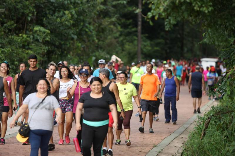 Uma reabertura feita a milhares de mãos. A fita inaugural colocada no inicio da trilha principal do Parque do Utinga foi rompida por mais de cinco mil pessoas ansiosas pelo inicio da caminhada, marcando o segundo dia da programação de reabertura do mais novo espaço paraense de lazer e interatividade com a natureza.
FOTO: SIDNEY OLIVEIRA / AG. PARÁ
DATA: 17.03.2018
BELÉM - PARÁ <div class='credito_fotos'>Foto: Sidney Oliveira/Ag. Pará | <a href='/midias/2018/originais/5f452d70-7f3a-4d5d-9cc5-8305d11383d9.jpg' download><i class='fa-solid fa-download'></i> Download</a></div>