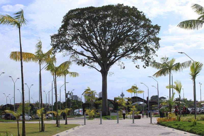 O Parque Estadual do Utinga (PEUt) o mais importante espaço de preservação e estudo da biodiversidade dentro da Região Metropolitana de Belém será reaberto à população a partir desta sexta,16, a partir das 16h30, com apresentações artísticas, com o Boi Veludinho, crianças do Pro Paz e a premiada Orquestra Sinfônica do Theatro da Paz. A apresentação será em um espaço ao ar livre e não será necessária a retirada de ingressos, por esse motivo, a recomendação é que o público chegue cedo, porque a entrada será fechada quando o espaço estiver lotado.
FOTO: MÁCIO FERREIRA / AG PARÁ
DATA: 16.03.2018
BELÉM - PARÁ <div class='credito_fotos'>Foto: MÁCIO FERREIRA/ AG. PARÁ | <a href='/midias/2018/originais/606acdaf-6906-42b9-86e2-844a46fcd9f3.jpg' download><i class='fa-solid fa-download'></i> Download</a></div>