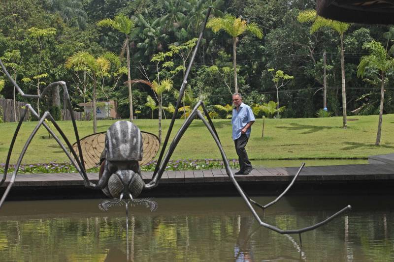 O Parque Estadual do Utinga (PEUt) o mais importante espaço de preservação e estudo da biodiversidade dentro da Região Metropolitana de Belém será reaberto à população a partir desta sexta,16, a partir das 16h30, com apresentações artísticas, com o Boi Veludinho, crianças do Pro Paz e a premiada Orquestra Sinfônica do Theatro da Paz. A apresentação será em um espaço ao ar livre e não será necessária a retirada de ingressos, por esse motivo, a recomendação é que o público chegue cedo, porque a entrada será fechada quando o espaço estiver lotado. No sábado, será realizada uma grande caminhada, a partir das 8 horas, com paradas para informações educativas sobre a fauna, flora e sobre os novos espaços. Por conta da grande quantidade de pessoas, incluindo crianças e idosos, o Corpo de Bombeiros recomendou e, a organização do evento acatou, a necessidade de se evitar durante a manhã do sábado o trânsito de veículos sobre rodas, como carros, bicicletas, skates e patins. Depois das 12 horas e durante todo o funcionamento do parque, a entrada e o uso por praticantes desta modalidade está completamente liberada. No domingo, o parque abrirá às 5h30 e funcionará até as 17h, assim como nos outros dias, de segunda a segunda. As atividades de manutenção do espaço vão requerer que o parque seja fechado para acesso ao público eventualmente, mas essas datas serão definidas de acordo com a demanda.
FOTO: IGOR BRANDÃO / AG PARÁ
DATA: 15.03.2018
BELÉM - PARÁ <div class='credito_fotos'>Foto: IGOR BRANDÃO / AG. PARÁ | <a href='/midias/2018/originais/62e70518-ab03-4910-80b1-8f579b11f195.jpg' download><i class='fa-solid fa-download'></i> Download</a></div>