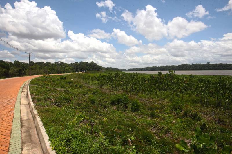 Bastante aguardado, o novo Parque Estadual do Utinga (PEUt) será reaberto ao público pelo Governo do Estado nos próximos dias 16 e 17 de março. Os serviços do mais importante espaço de preservação e estudo da biodiversidade dentro da Região Metropolitana de Belém serão oferecidos em caráter experimental. Na sexta-feira, a partir das 16h30, serão realizadas apresentações artísticas, com o Boi Veludinho, crianças do Pro Paz e a premiada Orquestra Sinfônica do Theatro da Paz. A apresentação será em um espaço ao ar livre e não será necessária a retirada de ingressos, por esse motivo, a recomendação é que o público chegue cedo, porque a entrada será fechada quando o espaço estiver lotado. No sábado, será realizada uma grande caminhada, a partir das 8 horas, com paradas para informações educativas sobre a fauna, flora e sobre os novos espaços. Por conta da grande quantidade de pessoas, incluindo crianças e idosos, o Corpo de Bombeiros recomendou e, a organização do evento acatou, a necessidade de se evitar durante a manhã do sábado o trânsito de veículos sobre rodas, como carros, bicicletas, skates e patins. Depois das 12 horas e durante todo o funcionamento do parque, a entrada e o uso por praticantes desta modalidade está completamente liberada no Parque. No domingo, o parque funciona normalmente ao público no horário de 5h30 às 17h, assim como nos outros dias, de segunda a segunda.
FOTO: IGOR BRANDÃO / AG PARÁ
DATA: 11.032018
BELÉM - PARÁ <div class='credito_fotos'>Foto: IGOR BRANDÃO / AG. PARÁ | <a href='/midias/2018/originais/63862646-a307-4e21-96ec-a2a56f8b51b3.jpg' download><i class='fa-solid fa-download'></i> Download</a></div>
