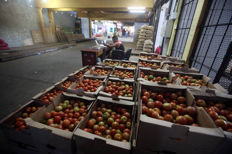 Quem foi às Centrais de Abastecimento do Pará (Ceasa-PA) nesta segunda-feira (4) já conseguiu adquirir diversos hortifrutigranjeiros que estavam em falta por conta da greve dos caminhoneiros. O movimento, que durou mais de 10 dias em todo o país, prejudicou o abastecimento desses produtos em quase todas as cidades brasileiras.

FOTO: SIDNEY OLIVEIRA / AG. PARÁ
DATA: 04.06.2018
BELÉM - PARÁ <div class='credito_fotos'>Foto: Sidney Oliveira/Ag. Pará   |   <a href='/midias/2018/originais/63eded7e-75d7-4a23-9774-d0999d28009b.jpg' download><i class='fa-solid fa-download'></i> Download</a></div>
