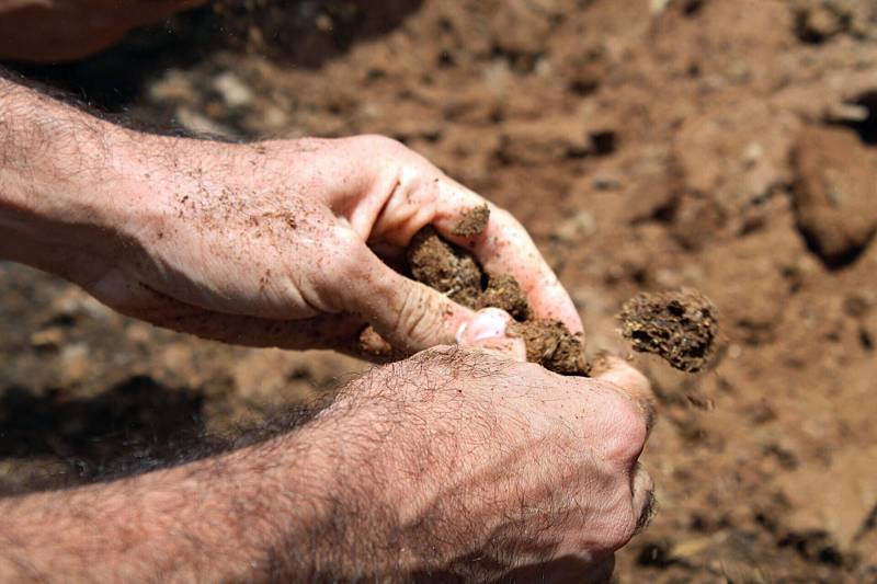 O cultivo de hortaliças e o manejo com a terra são formas de ressocialização oferecida para 20 internos custodiados na Central de Triagem Metropolitana II (CTM II), em Ananindeua, que participam de um curso de Horticultura promovido pelo Serviço Nacional de Aprendizagem Rural (Senar), em parceria com a Superintendência do Sistema Penitenciário do Estado (Susipe). O objetivo é preparar e qualificar os internos da unidade para o mercado de trabalho.
FOTO: Veloso Jr/ ASCOM SUSIPE
DATA: 13.11.2018
SANTA IZABEL - PARÁ
<div class='credito_fotos'>Foto: Veloso Junior / Ascom Susipe | <a href='/midias/2018/originais/6643b4e6-9f56-4dfa-a2cb-b25e5f4af597.jpg' download><i class='fa-solid fa-download'></i> Download</a></div>