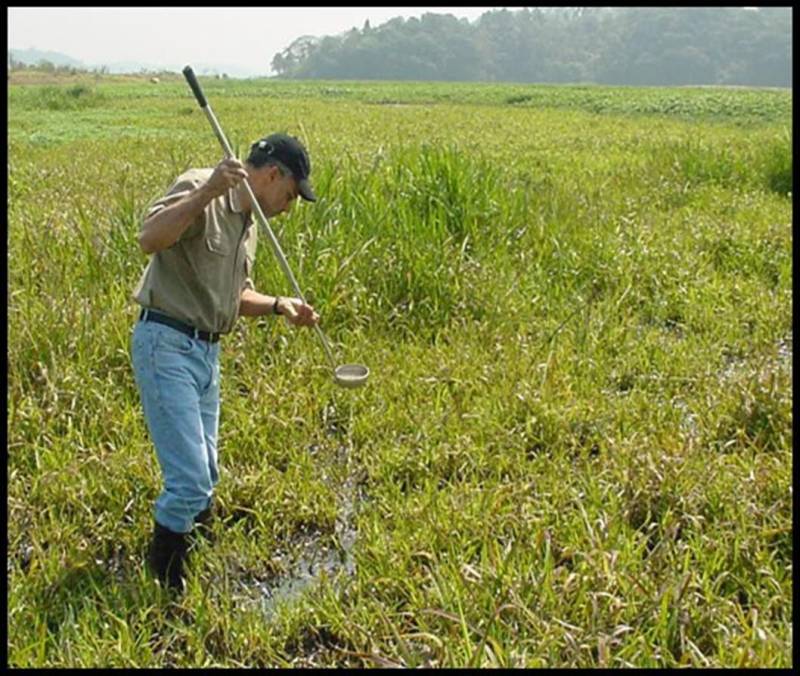 Pouca gente sabe, mas a Divisão de Entomologia do Laboratório Central do Estado (Lacen-PA) é responsável pelas pesquisas de campo que são fundamentais para o combate às endemias no Pará. A finalidade é observar e pesquisar o comportamento dos principais insetos transmissores de doenças como doença de Chagas, dengue, malária e leishmaniose e, assim, decidir qual a melhor estratégia de combate a ser usada. Tendo como responsável a bióloga entomologista Paoola Vieira, a Divisão trabalha, principalmente, integrada ao Departamento de Controle de Endemias da Secretaria de Estado de Saúde Pública (Sespa), setor que apresenta as demandas de ações de campo. "Trabalhamos com os vetores das principais endemias do estado: doenças de Chagas, leishmaniose, dengue e febre amarela. Então, o controle de todas as doenças transmitidas por vetores passa por aqui", informou Paoola. Na foto, coleta de lasvas de mosquitos.
FOTO: ASCOM / SESPA
DATA: 03.05.2018
<div class='credito_fotos'>Foto: ASCOM SESPA | <a href='/midias/2018/originais/6bbd32f1-b66d-4288-854d-2b6c137c125a.jpg' download><i class='fa-solid fa-download'></i> Download</a></div>