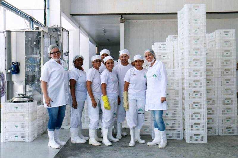 A empresa Xingu Fruit (foto), de beneficiamento e comercialização de polpas de açaí, foi criada há um ano com auxílio dos incentivos do Estado. Localizada no município de Castanhal, genuinamente paraense, já emprega 70 funcionários. De acordo com o sócio-administrador Uberlândio Santos, serão contratadas mais 90 pessoas a partir de agosto, quando começa a safra do açaí.

FOTO: DIVULGAÇÃO
DATA: 25.08.2015
CASTANHAL - PARÁ <div class='credito_fotos'>Foto: Divulgação   |   <a href='/midias/2018/originais/6cd852b8-73d5-4f0f-adbf-86400bf4a387.jpg' download><i class='fa-solid fa-download'></i> Download</a></div>