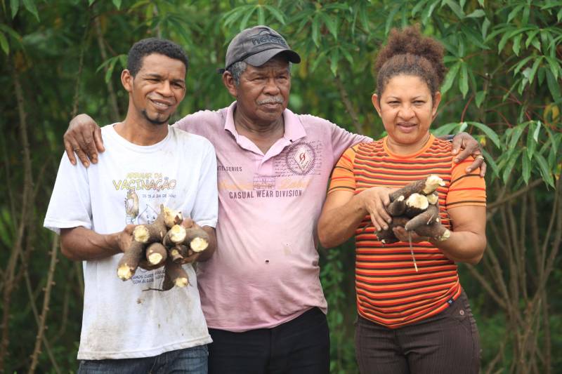 O dia começa cedo para a família do agricultor Adilson dos Santos, 33 anos. Produtores de mandioca da comunidade quilombola Boa Vista do Itá, de Santa Izabel do Pará, região metropolitana de Belém, eles são o retrato de uma tradição que vem se perpetuando por gerações e garantindo na mesa dos paraenses o produto que é a base alimentar do Estado. Do plantio ao beneficiamento, o lavrador herdou do pai a cultura que hoje é a principal fonte de renda da vila, onde vivem cerca de 50 famílias. No Pará, 96% da mandioca produzida vem da agricultura familiar. “Mandioca é pop, mandioca é tudo”, brinca Adilson. Ele está certo. Os produtos derivados da planta são diversos e ajudam a compor alguns dos pratos típicos mais conhecidos da região. Quase onipresente na mesa do paraense, a farinha é, muitas vezes, o alimento principal, nos sete dias da semana. Mas para chegar até as nossas casas, é preciso muito esforço e dedicação, aliado ao emprego de pesquisa e investimentos cada vez maiores do poder público. O conhecimento empírico do homem do campo hoje recebe o apoio de novas tecnologias e técnicas de plantio, que resultam em mais qualidade e produtividade. Na foto, o agricultor Adilson dos Santos (e), 33 anos, o pai Antônio (c) e Raimunda do carmo.
FOTO: MÁCIO FERREIRA / AG PARÁ
DATA: 25.02.2018
SANTA IZABEL DO PARÁ
<div class='credito_fotos'>Foto: MÁCIO FERREIRA/ AG. PARÁ | <a href='/midias/2018/originais/6fea08bc-ad90-4706-a22e-a5f31fb13664.jpg' download><i class='fa-solid fa-download'></i> Download</a></div>
