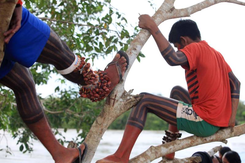 Eles vêm entoando cantos, em danças cadenciadas. A pele é pintada e os corpos estão cobertos por vestimentas típicas, feitas de miçangas, penas de animais e sementes de frutos. Exibem a exuberante força, que vem do coração, prontos para mais uma Semana dos Povos Indígenas. O maior evento do gênero no Estado começou neste domingo (15), com a chegada das cerca de 70 embarcações que se encontram no cruzamento dos rios Xingu e Fresco, na orla da cidade de São Félix do Xingu, sudeste do Pará.
FOTO: RODOLFO OLIVEIRA / AG. PARÁ
DATA: 15.04.2018
SÃO FÉLIX DO XINGU - PARÁ <div class='credito_fotos'>Foto: Rodolfo Oliveira/Ag. Pará | <a href='/midias/2018/originais/70eae139-368f-4ed4-b679-5be9ac7b4524.jpg' download><i class='fa-solid fa-download'></i> Download</a></div>