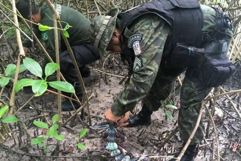 A fiscalização ambiental da Secretaria de Estado de Meio Ambiente e Sustentabilidade (Semas) apreendeu cerca de dois mil caranguejos durante uma operação de proteção ao período de defeso, que percorreu diversos municípios em janeiro e fevereiro.
FOTO: ASCOM SEMAS
DATA: 22.02.2018 <div class='credito_fotos'>Foto: ASCOM SEMAS | <a href='/midias/2018/originais/744c89f5-94b8-45cf-81c8-8caea308b40c.jpg' download><i class='fa-solid fa-download'></i> Download</a></div>