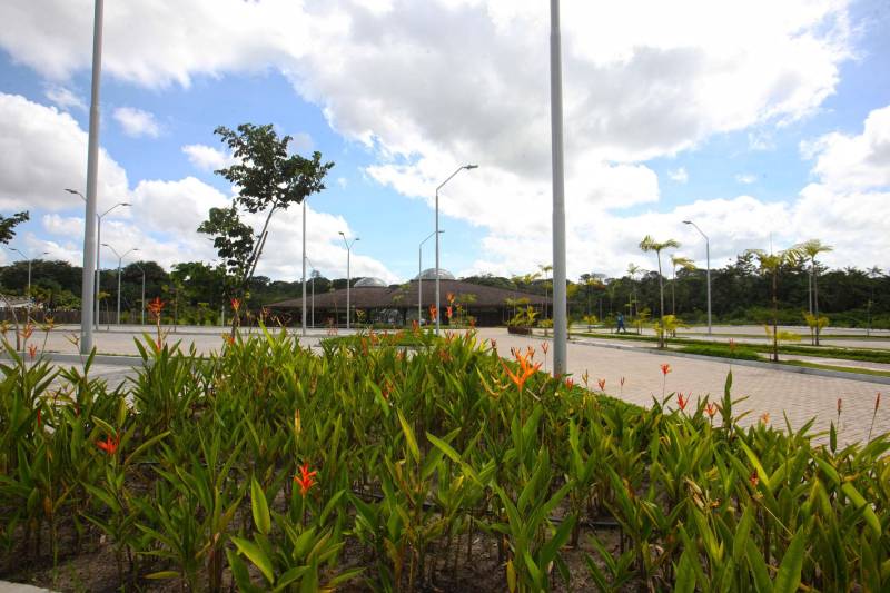 A floresta amazônica abriga aproximadamente 30 milhões espécies de vegetais, dentre esses as de maior destaque são a castanheira, a seringueira, o cacaueiro e um dos símbolos da Amazônia, a vitória-régia. No Parque Estadual do Utinga (Peut) -reaberto ao público pelo governo do Estado nos próximos dias 16 e 17 de março – em uma área de 1.393,088 hectares, é possível encontrar representantes dessas mesmas espécies. Criado para proporcionar um espaço de lazer à comunidade, o Peut é um verdadeiro laboratório desta biodiversidade.
FOTO: IGOR BRANDÃO / AG PARÁ
DATA: 13.03.2018
BELÉM - PARÁ <div class='credito_fotos'>Foto: IGOR BRANDÃO / AG. PARÁ | <a href='/midias/2018/originais/7552f93f-54de-4e89-aa2a-05476b8eeeaa.jpg' download><i class='fa-solid fa-download'></i> Download</a></div>