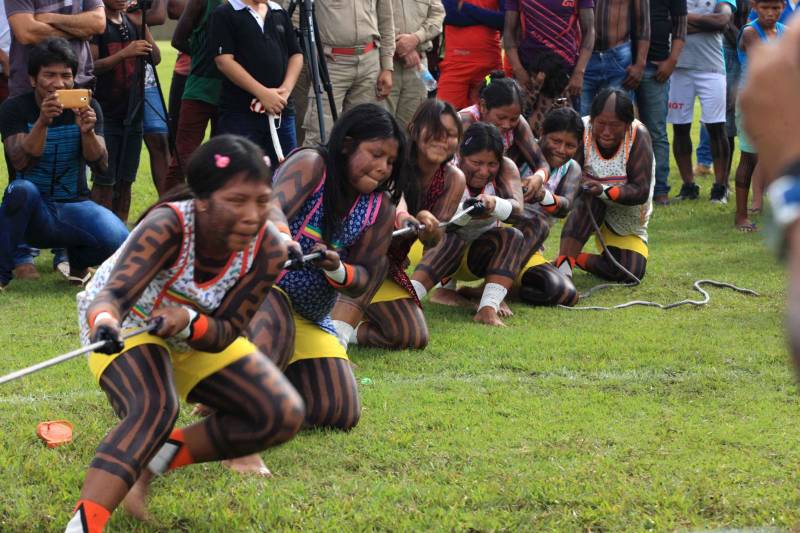 O dia começou cedo para os participantes da Semana dos Povos Indígenas, que ocorre em São Félix do Xingu, no sudeste do Pará. A vasta programação se estendeu durante toda a segunda-feira (16), com os serviços ofertados pelo Estado, os jogos e abertura oficial, à noite. Nesta segunda-feira também começaram as competições. Além do atletismo, com a corrida de 100 metros rasos para homens e mulheres, houve partidas de futsal feminino e de cabo de guerra masculino e feminino. Espalhados por diversos espaços da cidade, os jogos são uma atração muito esperada, tanto pelos índios quanto pelo público que prestigia as disputas.
FOTO: RODOLFO OLIVEIRA / AG. PARÁ
DATA: 16.04.2018
SÃO FÉLIX DO XINGU - PARÁ <div class='credito_fotos'>Foto: Rodolfo Oliveira/Ag. Pará | <a href='/midias/2018/originais/75e18646-db82-4fb6-8852-aa3fef3cbcd8.jpg' download><i class='fa-solid fa-download'></i> Download</a></div>