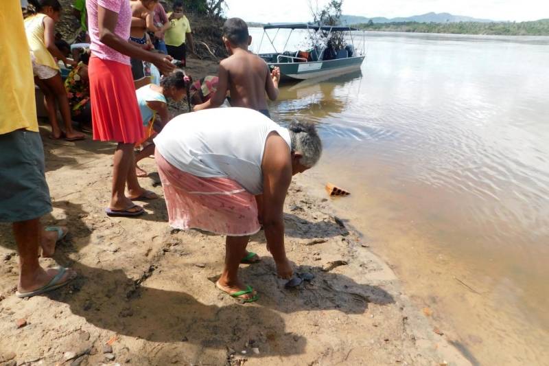 Mais de 2200 filhotes de tracajás e de tartarugas-da-amazônia foram soltos à beira do rio Araguaia na primeira semana de maio. A soltura foi realizada pela Gerência da Região Administrativa do Araguaia (GRA) do Instituto de Desenvolvimento Florestal e da Biodiversidade (Ideflor-bio), em parceira com o Instituto Ambiental Xambioá (IAX), no município de São Geraldo do Araguaia, no sudeste do Pará, e representou cerca 52% dos ovos de quelônios que foram resgatados em ações das instituições em 2017.
FOTO: ASCOM IDEFLOR-BIO
DATA: 08.05.2018
SÃO GERALDO DO ARAGUAIA - PARÁ <div class='credito_fotos'>Foto: ASCOM SEMAS | <a href='/midias/2018/originais/76094753-7f9c-4b40-9e9c-325c8d47aa32.jpg' download><i class='fa-solid fa-download'></i> Download</a></div>