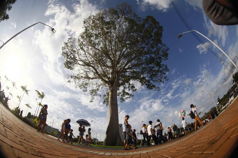 O Parque Estadual do Utinga (PEUt) o mais importante espaço de preservação e estudo da biodiversidade dentro da Região Metropolitana de Belém será reaberto à população a partir desta sexta,16, a partir das 16h30, com apresentações artísticas, com o Boi Veludinho, crianças do Pro Paz e a premiada Orquestra Sinfônica do Theatro da Paz. A apresentação será em um espaço ao ar livre e não será necessária a retirada de ingressos, por esse motivo, a recomendação é que o público chegue cedo, porque a entrada será fechada quando o espaço estiver lotado.
FOTO: THIAGO GOMES / AG PARÁ
DATA: 16.03.2018
BELÉM - PARÁ <div class='credito_fotos'>Foto: Thiago Gomes /Ag. Pará | <a href='/midias/2018/originais/76b7d694-9059-429d-a4ef-b8cd23cd2127.jpg' download><i class='fa-solid fa-download'></i> Download</a></div>