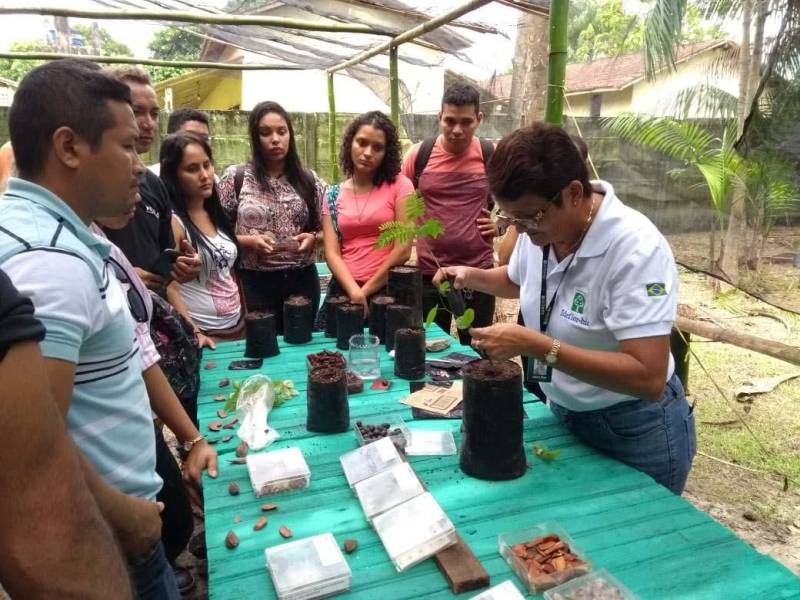 Um curso sobre beneficiamento e produção de mudas foi oferecido na manhã desta quarta-feira (06), pela direção do Parque Ambiental de Ananindeua Antônio Danúbio, para estudantes de faculdades e universidades da Região Metropolitana de Belém. O curso (foto) foi ministrado pela engenheira agrônoma Laura Dias, do Instituto de Desenvolvimento Florestal e da Biodiversidade (Ideflor-bio), durante a Semana do Meio Ambiente. Participaram 25 alunos de várias instituições, como Universidade Federal do Pará (UFPA), Faculdade Pan-Amazônica, Faculdade Metropolitana da Amazônia e Escola Técnica Rural Juscelino Kubitschek. Os participantes tiveram aulas teóricas e práticas sobre os diversos processos da produção de mudas, desde a preparação das sementes até o plantio.
FOTO: ASCOM / IDEFLOR-BIO
DATA: 06.06.2018
BELÉM - PARÁ <div class='credito_fotos'>Foto: ASCOM / IDEFLOR-BIO | <a href='/midias/2018/originais/76c9df18-4d09-4df0-bff4-78d1a7826d22.jpg' download><i class='fa-solid fa-download'></i> Download</a></div>