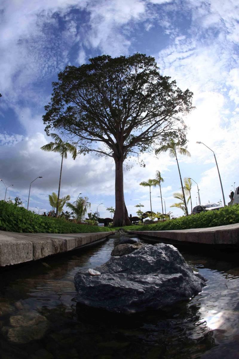 O Parque Estadual do Utinga (PEUt) o mais importante espaço de preservação e estudo da biodiversidade dentro da Região Metropolitana de Belém será reaberto à população a partir desta sexta,16, a partir das 16h30, com apresentações artísticas, com o Boi Veludinho, crianças do Pro Paz e a premiada Orquestra Sinfônica do Theatro da Paz. A apresentação será em um espaço ao ar livre e não será necessária a retirada de ingressos, por esse motivo, a recomendação é que o público chegue cedo, porque a entrada será fechada quando o espaço estiver lotado.
FOTO: MÁCIO FERREIRA / AG PARÁ
DATA: 16.03.2018
BELÉM - PARÁ <div class='credito_fotos'>Foto: MÁCIO FERREIRA/ AG. PARÁ | <a href='/midias/2018/originais/776d589d-e198-4f14-8a38-bd0f86ce747a.jpg' download><i class='fa-solid fa-download'></i> Download</a></div>