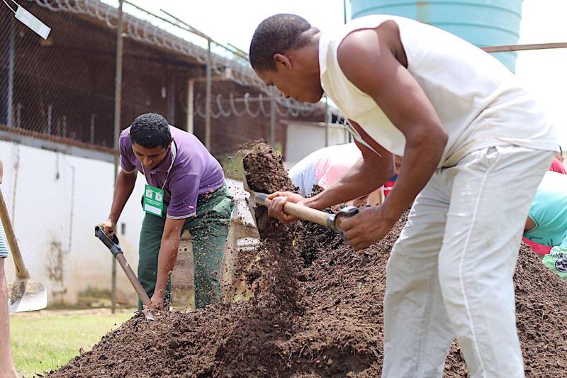 O cultivo de hortaliças e o manejo com a terra são formas de ressocialização oferecida para 20 internos custodiados na Central de Triagem Metropolitana II (CTM II), em Ananindeua, que participam de um curso de Horticultura promovido pelo Serviço Nacional de Aprendizagem Rural (Senar), em parceria com a Superintendência do Sistema Penitenciário do Estado (Susipe). O objetivo é preparar e qualificar os internos da unidade para o mercado de trabalho.
FOTO: Veloso Jr/ ASCOM SUSIPE
DATA: 13.11.2018
SANTA IZABEL - PARÁ
<div class='credito_fotos'>Foto: Veloso Junior / Ascom Susipe | <a href='/midias/2018/originais/77f6a350-1918-4751-8872-1c6d2ffe5b6d.jpg' download><i class='fa-solid fa-download'></i> Download</a></div>