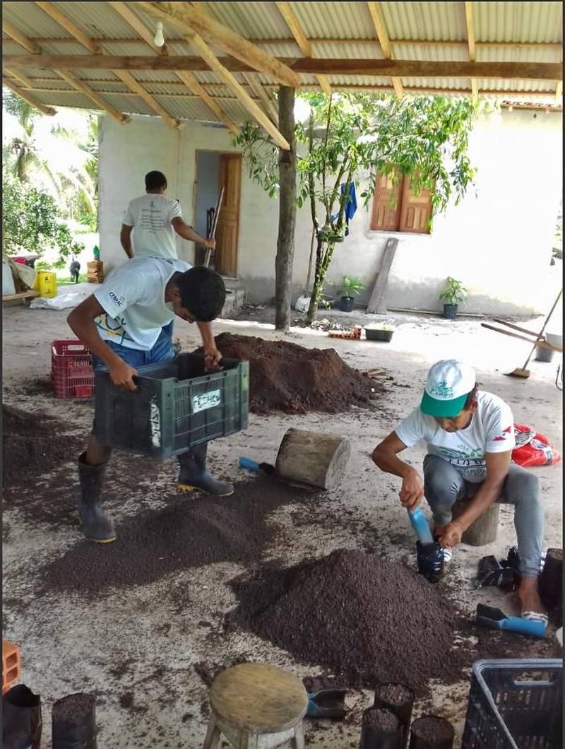 Agricultores familiares atendidos pelo projeto AgroVárzea participaram, na segunda-feira, 14, de um Dia de Campo para a manutenção do viveiro de mudas implantado (foto) pelo Instituto de Desenvolvimento Florestal e da Biodiversidade (Ideflor-bio). O viveiro fica na comunidade quilombola do Abacatal, em Marituba, e também atende os agricultores da Ilha do Combu e das comunidades Ponta Negra e Santo Amaro, também em Marituba. Durante o Dia de Campo, agricultores das quatro comunidades e responsável pela manutenção da área realizaram diversas atividades, como o preparo do substrato e a repicagem de mudas que já estavam sendo cultivadas no viveiro em pequenos tubetes. Segundo a engenheira agrônoma do Ideflor-bio e coordenadora do AgroVárzea, Laura Dias, a ocasião também serviu para capacitar os agricultores para o trabalho e aproveitamento adequado da produção do viveiro.

FOTO: ASCOM / IDEFLOR
DATA: 15.05.2018
MARITUBA - PARÁ <div class='credito_fotos'>Foto: Ascom Ideflor   |   <a href='/midias/2018/originais/789080fa-d957-4d95-9d5e-91c38b1de360.jpg' download><i class='fa-solid fa-download'></i> Download</a></div>