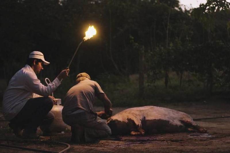 Desde 2014 não há mais jovens morando na região de Paulistas e Soledade, na zona rural de Goiás; apenas adultos e idosos. É a partir desta realidade que o filme-documentário “Paulistas” conta a história de três irmãos que voltam à região para visitar os pais. A estreia foi nesta quinta-feira (22), no Cine Líbero Luxardo, no Centur, durante a Sessão Vitrine Petrobras, iniciada às 16 h. O filme foi escrito e dirigido por Daniel Nolasco. Os personagens Samuel, Vinícius e Rafael haviam se mudado para Catalão, na zona urbana de Goiás. Porém, nas férias de julho, os três retornam à cidade – que está abandonada. A trilha sonora é da banda brasileira de rock psicodélico Boogarins, o que complementa o sentimento de solidão. Na foto, cena de "Paulostas".
FOTO: DIVULGAÇÃO
DATA:22.02.2018
BELÉM - PARÁ <div class='credito_fotos'>Foto: Divulgação | <a href='/midias/2018/originais/7900ec14-293b-4037-91a3-3e8d6bf779ce.jpg' download><i class='fa-solid fa-download'></i> Download</a></div>