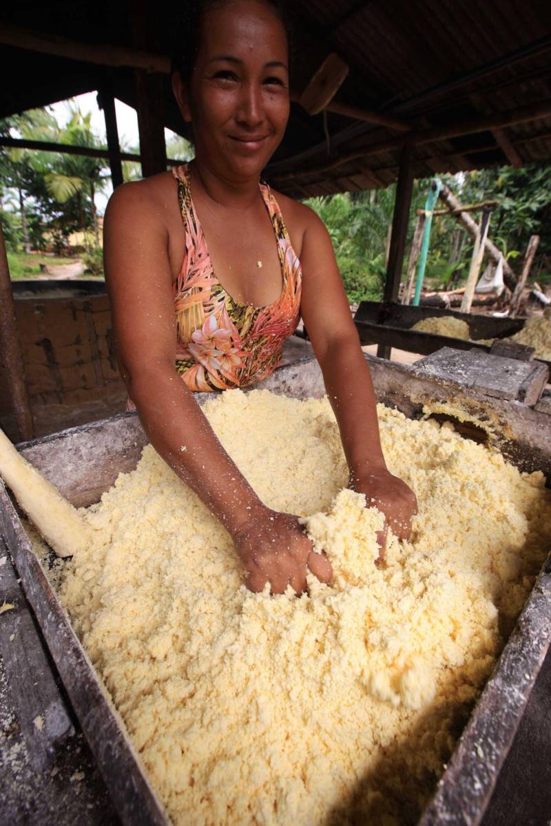 O dia começa cedo para a família do agricultor Adilson dos Santos, 33 anos. Produtores de mandioca da comunidade quilombola Boa Vista do Itá, de Santa Izabel do Pará, região metropolitana de Belém, eles são o retrato de uma tradição que vem se perpetuando por gerações e garantindo na mesa dos paraenses o produto que é a base alimentar do Estado. Do plantio ao beneficiamento, o lavrador herdou do pai a cultura que hoje é a principal fonte de renda da vila, onde vivem cerca de 50 famílias. No Pará, 96% da mandioca produzida vem da agricultura familiar. “Mandioca é pop, mandioca é tudo”, brinca Adilson. Ele está certo. Os produtos derivados da planta são diversos e ajudam a compor alguns dos pratos típicos mais conhecidos da região. Quase onipresente na mesa do paraense, a farinha é, muitas vezes, o alimento principal, nos sete dias da semana. Mas para chegar até as nossas casas, é preciso muito esforço e dedicação, aliado ao emprego de pesquisa e investimentos cada vez maiores do poder público. O conhecimento empírico do homem do campo hoje recebe o apoio de novas tecnologias e técnicas de plantio, que resultam em mais qualidade e produtividade. Na foto, Vilma dos Santos.
FOTO: MÁCIO FERREIRA / AG PARÁ
DATA: 25.02.2018
SANTA IZABEL DO PARÁ
<div class='credito_fotos'>Foto: MÁCIO FERREIRA/ AG. PARÁ | <a href='/midias/2018/originais/7bbf0e13-2afe-4868-9084-309a4a6487d2.jpg' download><i class='fa-solid fa-download'></i> Download</a></div>