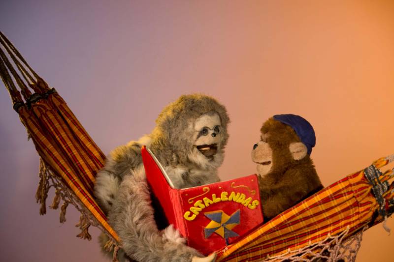 O programa Catalendas ganhou um livro que vai revelar os bastidores da atração exibida entre os anos de 1999 e 2013 pela TV Cultura do Pará. Intitulado "Catalendas: uma história de bonecos na TV", o livro é organizado pela Cultura Rede de Comunicação e será lançado na sexta-feira (21), às 19h, no Cine Líbero Luxardo, em Belém, com programação aberta ao público.

FOTO: ASCOM TV CULTURA
DATA: 19.12.2018
BELÉM - PARÁ <div class='credito_fotos'>Foto: ASCOM / PORTAL CULTURA   |   <a href='/midias/2018/originais/7c8c9e53-39c9-4faa-bda6-e42d6afefc6d.jpg' download><i class='fa-solid fa-download'></i> Download</a></div>