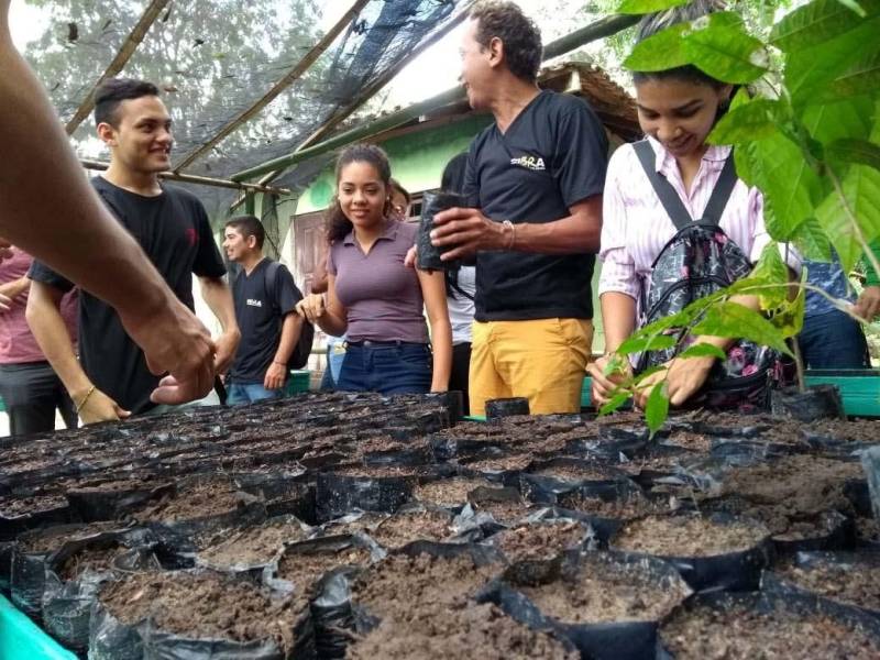 Um curso sobre beneficiamento e produção de mudas foi oferecido na manhã desta quarta-feira (06), pela direção do Parque Ambiental de Ananindeua Antônio Danúbio, para estudantes de faculdades e universidades da Região Metropolitana de Belém. O curso (foto) foi ministrado pela engenheira agrônoma Laura Dias, do Instituto de Desenvolvimento Florestal e da Biodiversidade (Ideflor-bio), durante a Semana do Meio Ambiente. Participaram 25 alunos de várias instituições, como Universidade Federal do Pará (UFPA), Faculdade Pan-Amazônica, Faculdade Metropolitana da Amazônia e Escola Técnica Rural Juscelino Kubitschek. Os participantes tiveram aulas teóricas e práticas sobre os diversos processos da produção de mudas, desde a preparação das sementes até o plantio.
FOTO: ASCOM / IDEFLOR-BIO
DATA: 06.06.2018
BELÉM - PARÁ <div class='credito_fotos'>Foto: ASCOM / IDEFLOR-BIO | <a href='/midias/2018/originais/7f49197d-f6cd-4c9d-a0d9-5aae84783666.jpg' download><i class='fa-solid fa-download'></i> Download</a></div>