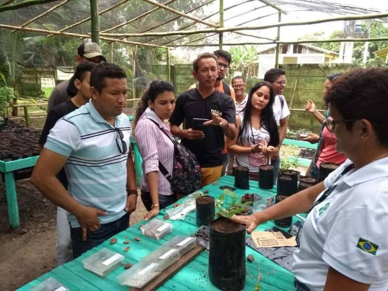 Um curso sobre beneficiamento e produção de mudas foi oferecido na manhã desta quarta-feira (06), pela direção do Parque Ambiental de Ananindeua Antônio Danúbio, para estudantes de faculdades e universidades da Região Metropolitana de Belém. O curso (foto) foi ministrado pela engenheira agrônoma Laura Dias, do Instituto de Desenvolvimento Florestal e da Biodiversidade (Ideflor-bio), durante a Semana do Meio Ambiente. Participaram 25 alunos de várias instituições, como Universidade Federal do Pará (UFPA), Faculdade Pan-Amazônica, Faculdade Metropolitana da Amazônia e Escola Técnica Rural Juscelino Kubitschek. Os participantes tiveram aulas teóricas e práticas sobre os diversos processos da produção de mudas, desde a preparação das sementes até o plantio.
FOTO: ASCOM / IDEFLOR-BIO
DATA: 06.06.2018
BELÉM - PARÁ <div class='credito_fotos'>Foto: ASCOM / IDEFLOR-BIO | <a href='/midias/2018/originais/7f847cc0-79a0-43f9-a199-bebb94758c38.jpg' download><i class='fa-solid fa-download'></i> Download</a></div>