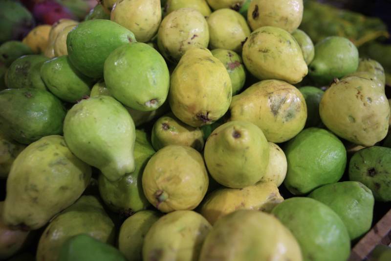 Com a chegada do verão, é importante reforçar o consumo de frutas para a absorção de nutrientes importantes e também para o combate à desidratação. Como toda a estação, existem as frutas da época, que, por conta da oferta, costumam ficar mais baratas. Uma das opções para a compra de frutas da estação é a Central de Abastecimento do Pará (Ceasa).
FOTO: RODOLFO OLIVEIRA / AG. PARÁ
DATA: 09.07.2018
BELÉM - PARÁ <div class='credito_fotos'>Foto: Rodolfo Oliveira/Ag. Pará | <a href='/midias/2018/originais/803ffc76-1eb1-4698-a9fa-15832982ca86.jpg' download><i class='fa-solid fa-download'></i> Download</a></div>