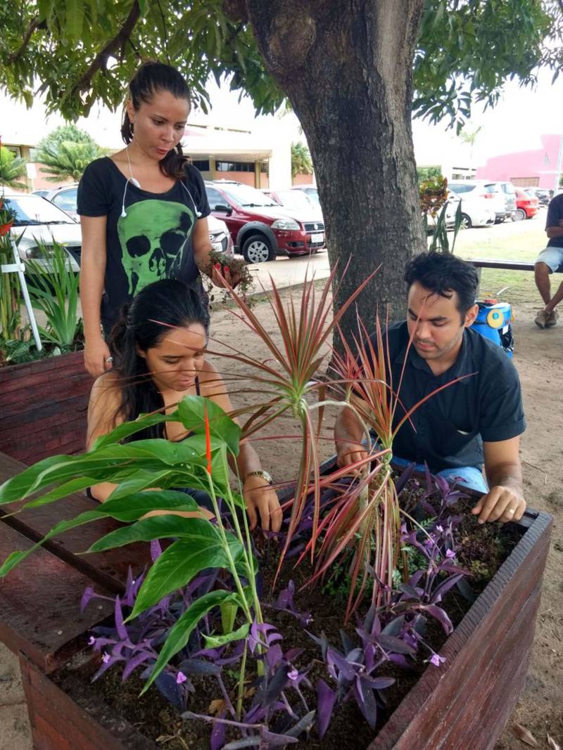 O Hospital Regional do Baixo Amazonas (HRBA), em Santarém, ganhou, nesta quarta-feira, 21, um novo espaço de convivência, que proporciona aos funcionários e pacientes um contato maior com a natureza. Por meio do projeto “Reflorestar”, foi criada uma área sustentável na parte externa da unidade, bem próximo à entrada principal.
FOTO: ASCOM HRPT
DATA: 22.03.2018
SANTARÉM - PARÁ <div class='credito_fotos'>Foto: ASCOM HRPT | <a href='/midias/2018/originais/8079dda1-63fd-4809-8eb4-44e5d9daad81.jpg' download><i class='fa-solid fa-download'></i> Download</a></div>