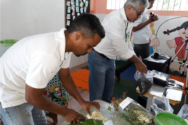 O escritório de Nova Ipixuna da Empresa de Assistência Técnica e Extensão Rural do Estado do Pará (Emater-Pará) apresentou nesta semana, na comunidade Boa Esperança, projeto de implantação de hortas comunitárias, envolvendo múltiplas parcerias municipais.
FOTO: ASCOM EMTAER
DATA: 26.04.2018
NOVA IPIXUNA - PARÁ <div class='credito_fotos'>Foto: ASCOM EMATER | <a href='/midias/2018/originais/80ced3d1-7d8d-487c-914d-07d072bd7503.jpg' download><i class='fa-solid fa-download'></i> Download</a></div>