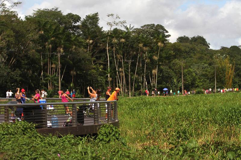 Exposições, torneios esportivos, ecoturismo, corridas, emissão de documentos, serviços médicos e celebrações religiosas são algumas das atividades programadas para as “Ações Cívico-sociais PMPA 200 anos”, que serão realizadas nos dias 15 e 20 de abril na capital e em diversos municípios do estado. As ações são coordenadas pela 5ª Seção do Estado-Maior Geral. Já o Comando de Polícia Ambiental estará no recém-inaugurado Parque Estadual do Utinga (foto) oferecendo passeios de lancha e quadriciclo, trilhas ecológicas, exposição, dentre outras. Neste caso, a ação é voltada para familiares dos policiais que atuam no Batalhão de Polícia Ambiental.
FOTO: CRISTINO MARTINS / AG. PARÁ
DATA: 15.04.2018
BELÉM - PARÁ <div class='credito_fotos'>Foto: Cristino Martins/Ag. Pará | <a href='/midias/2018/originais/857605f6-e898-4082-858b-f7cc58f2e8f2.jpg' download><i class='fa-solid fa-download'></i> Download</a></div>