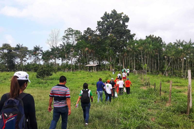 Produtores da Área de Proteção Ambiental (APA) da Ilha do Combu, APA Belém e do Refúgio de Vida Silvestre (Revis) Metrópole da Amazônia fizeram visitas de campo em propriedades familiares no município de Santa Izabel do Pará (foto), na última quinta-feira (15), para conhecer áreas onde foram implantados os Sistemas Agroflorestais (SAFs), como modelo de diversificação da produção da agricultura familiar. A capacitação em SAFs é mais uma ação do calendário de ações do Projeto Agro Várzea, do Instituto de Desenvolvimento Florestal e da Biodiversidade do Estado (Ideflor-bio). O objetivo é mostrar estratégias produtivas sustentáveis, considerando os diversos aspectos funcionais e estruturais nos sistemas silviagrícolas, silvipastoril, agrossilvipastoril e agroflorestal.
FOTO: ASCOM / IDEFLOR-BIO
DATA: 17.09.2016
SANTA IZABEL DO PARÁ - PARÁ <div class='credito_fotos'>Foto: Ascom Ideflor-Bio | <a href='/midias/2018/originais/864d293c-6238-4caa-9621-0616bf699a70.jpg' download><i class='fa-solid fa-download'></i> Download</a></div>
