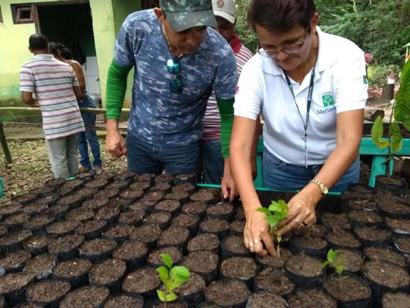 Um curso sobre beneficiamento e produção de mudas foi oferecido na manhã desta quarta-feira (06), pela direção do Parque Ambiental de Ananindeua Antônio Danúbio, para estudantes de faculdades e universidades da Região Metropolitana de Belém. O curso (foto) foi ministrado pela engenheira agrônoma Laura Dias, do Instituto de Desenvolvimento Florestal e da Biodiversidade (Ideflor-bio), durante a Semana do Meio Ambiente. Participaram 25 alunos de várias instituições, como Universidade Federal do Pará (UFPA), Faculdade Pan-Amazônica, Faculdade Metropolitana da Amazônia e Escola Técnica Rural Juscelino Kubitschek. Os participantes tiveram aulas teóricas e práticas sobre os diversos processos da produção de mudas, desde a preparação das sementes até o plantio.
FOTO: ASCOM / IDEFLOR-BIO
DATA: 06.06.2018
BELÉM - PARÁ <div class='credito_fotos'>Foto: ASCOM / IDEFLOR-BIO | <a href='/midias/2018/originais/881d6a1e-568c-4efa-be21-a62b606420f4.jpg' download><i class='fa-solid fa-download'></i> Download</a></div>