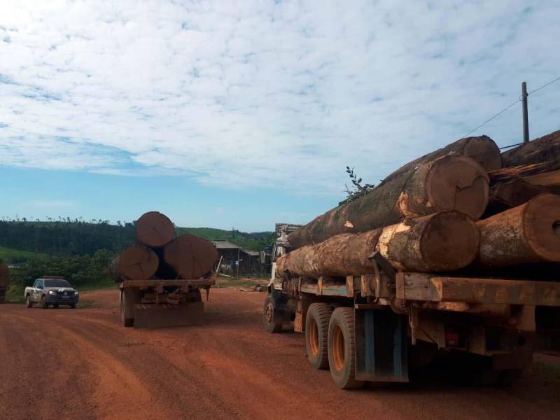A Polícia Civil prendeu em flagrante três pessoas acusadas de crime contra o meio ambiente e associação criminosa, no município de Tucuruí, no sudeste paraense, durante operação deflagrada por policiais da Delegacia de Conflitos Agrários de Marabá (Deca). Segundo informação divulgada neste domingo (3), além dos três presos, cinco pessoas foram conduzidas para a Seccional de Tucuruí pelos policiais. Das cinco pessoas, quatro foram liberadas após serem enquadradas por transporte ilegal de madeira e derrubada de árvores para fins comerciais. O outro detido prestou depoimento e foi liberado. Dois dos três presos em flagrante vão responder também por corrupção ativa, por terem oferecido aos policiais civis R$ 10 mil para serem liberados. Com os acusados foram apreendidos três caminhões carregados com madeiras nobres (foto), uma motosserra e R$ 6 mil em espécie. A operação foi comandada pelo delegado Waney Alexandre, titular da Deca de Marabá.

FOTO: ASCOM / POLÍCIA CIVIL
DATA: 03.06.2018
TUCURUÍ - PARÁ <div class='credito_fotos'>Foto: Ascom / Polícia Civil   |   <a href='/midias/2018/originais/8f07756b-a841-46a4-849f-8e194a7a3e71.jpg' download><i class='fa-solid fa-download'></i> Download</a></div>