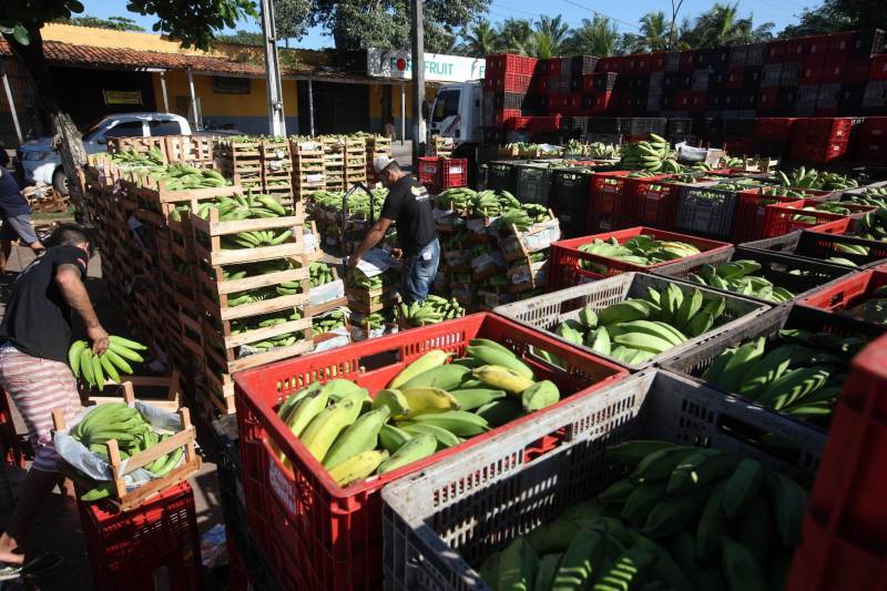 Quem foi às Centrais de Abastecimento do Pará (Ceasa-PA) nesta segunda-feira (4) já conseguiu adquirir diversos hortifrutigranjeiros que estavam em falta por conta da greve dos caminhoneiros. O movimento, que durou mais de 10 dias em todo o país, prejudicou o abastecimento desses produtos em quase todas as cidades brasileiras.

FOTO: SIDNEY OLIVEIRA / AG. PARÁ
DATA: 04.06.2018
BELÉM - PARÁ <div class='credito_fotos'>Foto: Sidney Oliveira/Ag. Pará   |   <a href='/midias/2018/originais/8fb2c75d-1547-416a-933a-9d294b2f578b.jpg' download><i class='fa-solid fa-download'></i> Download</a></div>