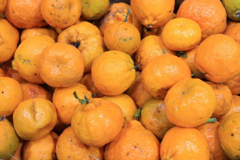 Com a chegada do verão, é importante reforçar o consumo de frutas para a absorção de nutrientes importantes e também para o combate à desidratação. Como toda a estação, existem as frutas da época, que, por conta da oferta, costumam ficar mais baratas. Uma das opções para a compra de frutas da estação é a Central de Abastecimento do Pará (Ceasa).
FOTO: RODOLFO OLIVEIRA / AG. PARÁ
DATA: 09.07.2018
BELÉM - PARÁ <div class='credito_fotos'>Foto: Rodolfo Oliveira/Ag. Pará | <a href='/midias/2018/originais/8fe764c7-6acf-41fc-8062-5f33c9e9a325.jpg' download><i class='fa-solid fa-download'></i> Download</a></div>