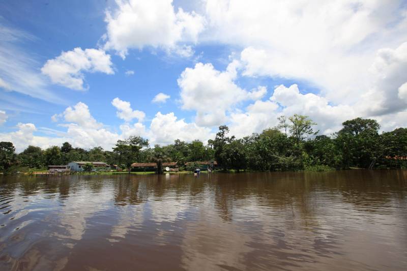 A comunidade Sítio Bosque fica no município de Moju, a 127 quilômetros da capital paraense. Após a descida da ponte que dá acesso à cidade e mais 45 minutos por uma estrada de ramal, às margens do Rio Moju, chega-se à comunidade. Lá moram 87 famílias, o equivalente a mais de 200 pessoas
FOTO: MÁCIO FERREIRA / AG. PARÁ
DATA: 05.03.2018
MOJU - PARÁ <div class='credito_fotos'>Foto: MÁCIO FERREIRA/ AG. PARÁ | <a href='/midias/2018/originais/92b7baae-cb32-4771-9a65-657c1838aff5.jpg' download><i class='fa-solid fa-download'></i> Download</a></div>