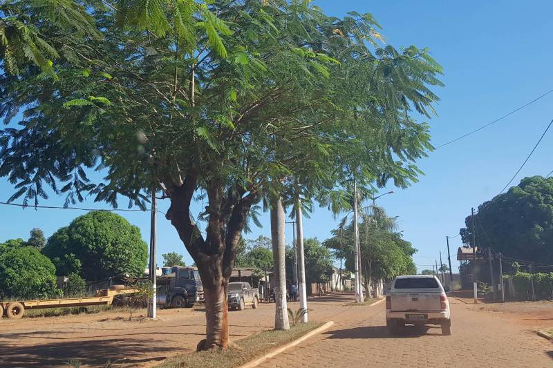 Quem precisa trafegar pela PA 287, do trecho da BR 158 até o município de Cumaru do Norte, teve uma boa notícia neste sábado (23), quando foi entregue a ordem de serviço para a execução da obra de conservação da rodovia. A solenidade ocorreu na Câmara Municipal de Vereadores de Cumaru do Norte, e contou com a presença do Secretário Regional de Governo do Sudeste do Pará, Jorge Bittencourt, que no ato representou o governador Simão Jatene.
FOTO: ASCOM CRGSP
DATA: 23.06.2018
CUMARU DO NORTE - PARÁ <div class='credito_fotos'>Foto: ASCOM CRGSP | <a href='/midias/2018/originais/95a2b4d4-2dde-48cb-a7d2-2c16dfff9edd.jpg' download><i class='fa-solid fa-download'></i> Download</a></div>