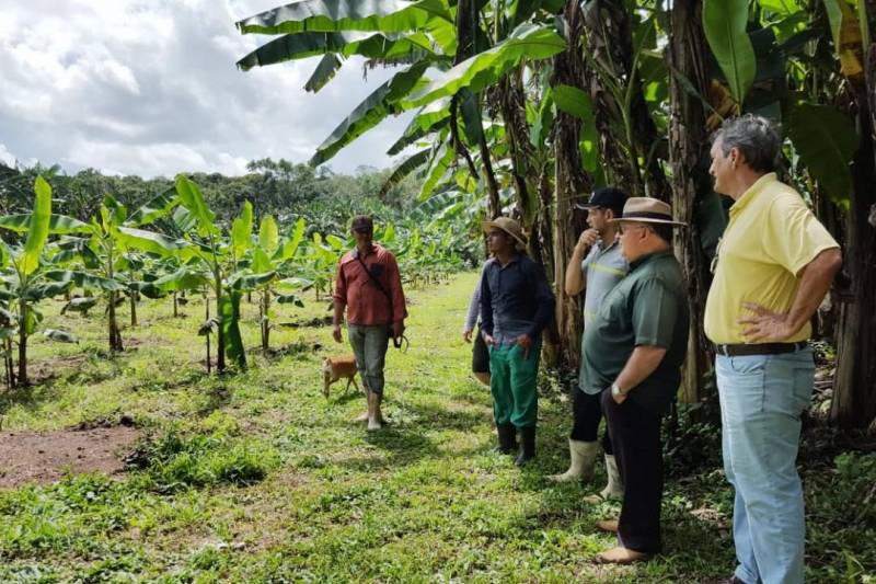 Extensionistas da Empresa de Assistência Técnica e Extensão Rural do Estado do Pará (Emater-Pará), incluindo representantes do regional de Castanhal, realizaram visitas técnicas de assessoramento e monitoramento em seis propriedades contempladas pelo programa Pará Produtivo, nesta quarta-feira, 16, em Santo Antônio do Tauá, no nordeste do estado.
FOTO: ASCOM EMATER
DATA: 16.05.2018
SANTO ANTÔNIO DO TAUÁ - PARÁ <div class='credito_fotos'>Foto: ASCOM EMATER | <a href='/midias/2018/originais/97232682-faec-480e-90fb-b02cc9ce7357.jpg' download><i class='fa-solid fa-download'></i> Download</a></div>