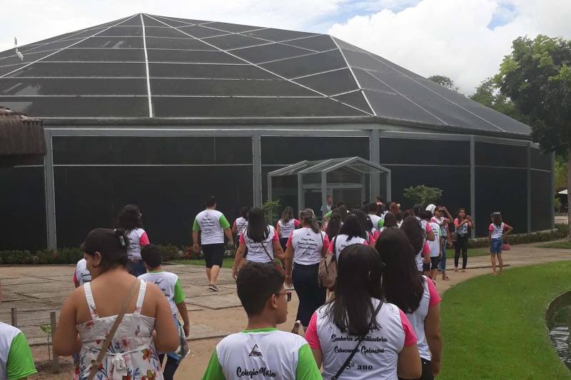 A manhã desta quarta-feira, 5, foi de mudança na rotina para cerca de 70 crianças da Escola Nossa Senhora Auxiliadora, localizada no município de Santa Maria do Pará. Os alunos do 5ª ano do Ensino Fundamental viajaram até a capital para participar de uma visita guiada (foto) no Mangal das Garças, onde vivenciaram momentos de lazer e educação ambiental.   

FOTO: ASCOM / OS PARÁ 2000
DATA: 05.12.2018
BELÉM - PARÁ <div class='credito_fotos'>Foto: ASCOM OS PARÁ 2000   |   <a href='/midias/2018/originais/9a4d7ca9-8ad4-4328-a1c0-e14d8b5d6ecc.jpg' download><i class='fa-solid fa-download'></i> Download</a></div>