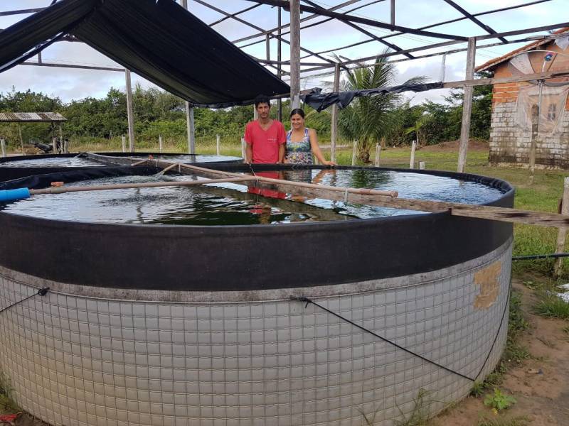 Um projeto-piloto em piscicultura, que diversifica a produção familiar e vai além de um sistema fechado de criação intensiva de peixes, reutilizando água pós-tratamento mecânico e biológico, vem sendo desenvolvido pela Empresa de Assistência Técnica e Extensão Rural do Pará (Emater), por meio de seu escritório local em Marapanim, no nordeste paraense. Segundo o engenheiro agrônomo Wilson Castro Rodrigues, chefe do escritório no município, o projeto também “contribui com o ecossistema, reduz a emissão de poluentes ambientais e a necessidade de uso de água e energia em grande quantidade, além de integrar lavoura e pecuária por ocupação de poucos espaços, permitindo renda extra aos pequenos agricultores”.
FOTO: ASCOM / EMATER
DATA: 20.04.2018
MARAPANIM - PARÁ <div class='credito_fotos'>Foto: ASCOM EMATER | <a href='/midias/2018/originais/9b1d66d3-091d-4bda-9489-815c0048b4db.jpg' download><i class='fa-solid fa-download'></i> Download</a></div>