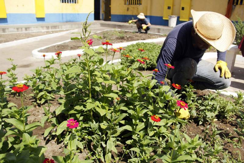 As 14 unidades socioeducativas do Pará promovem a partir desta semana o IV Recreio de Verão Socioeducativo (foto), uma iniciativa que reúne atividades de arte, cultura, esporte e lazer para adolescentes e jovens em privação de liberdade, potencializando as atividades pedagógicas no mês de julho, durante o recesso escolar. Em Marabá, no sudeste paraense, arte-educadores e servidores do Centro de Internação do Adolescente Masculino (Ciam-Marabá) realizam uma série de atividades e oficinas desde esta terça-feira (10). Entre essas atividades estão jogos de futebol, futsal e vôlei, além de oficina de pipa e pintura, artesanato, ações socioambientais, teatro e panificação. A coordenadora do complexo esportivo e cultural Apoena, Marta Santos, informou que as oficinas realizadas na unidade de Marabá são uma extensão das atividades já realizadas nas unidades de Belém, com iniciativas que fortaleçam o processo de ressocialização dos jovens assistidos. “Aqui, em Marabá, estamos potencializando as atividades ao longo da semana, culminando com uma apresentação especial na sexta-feira (13), fruto das atividades realizadas ao longo da semana. Contamos com 57 adolescentes, e atividades sendo realizadas ao longo de todo o mês, um trabalho que eles gostam e se identificam”, afirmou a coordenadora.
FOTO: FRANKLIN SALVADOR / ASCOM FASEPA
DATA: 10.07.2018
BELÉM - PARÁ <div class='credito_fotos'>Foto: FRANKLIN SALVADOR / ASCOM FASEPA | <a href='/midias/2018/originais/9c454660-701a-4df7-b0bb-c34c20f34d4d.jpg' download><i class='fa-solid fa-download'></i> Download</a></div>
