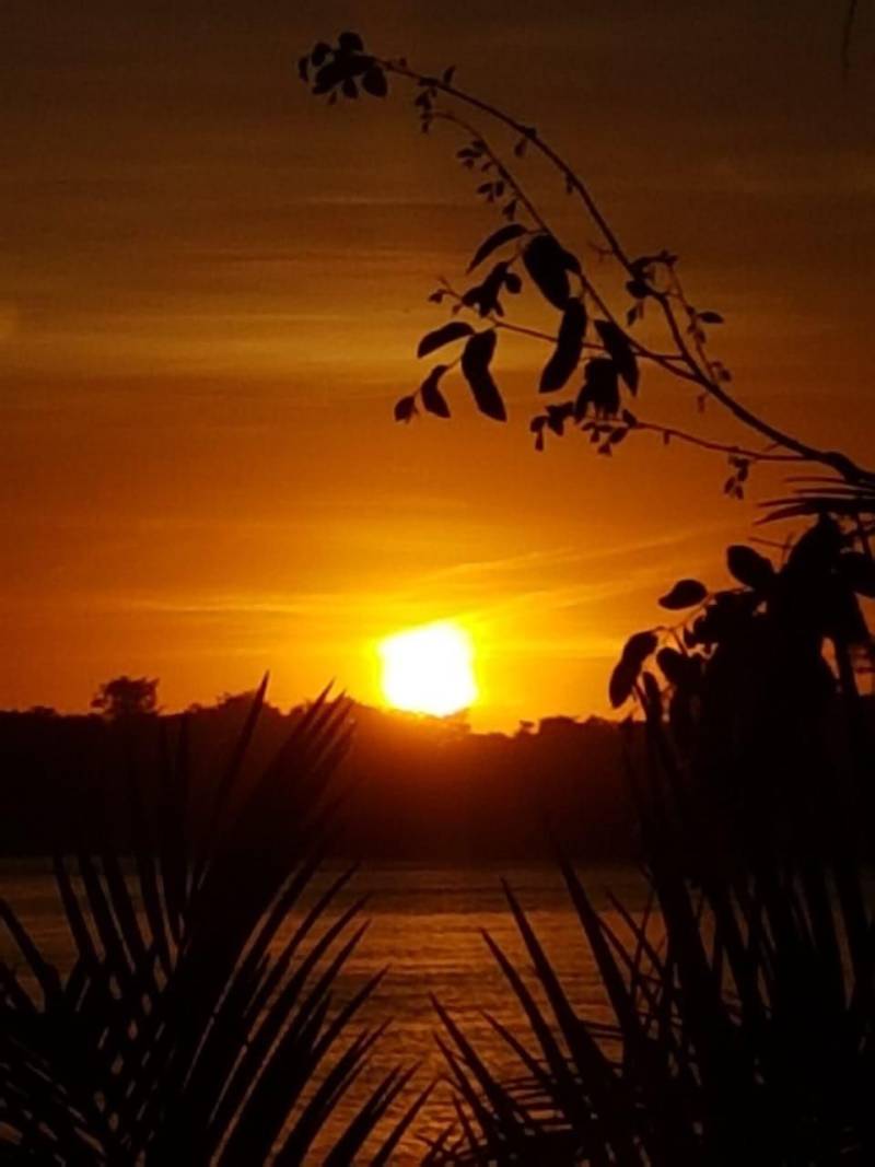 Técnicos das Secretarias Estaduais de Municípios Sustentáveis (Semsu) e de Gestão Estratégica (Seegest) estão no município de São Félix do Xingu (foto) para avaliar e alinhar as ações que estão sendo realizadas na implementação do projeto piloto dos Municípios Emblemáticos. A reunião com a equipe municipal foi realizada nesta terça-feira, 05, no auditório da Secretaria Municipal de Meio Ambiente (Semmas). O projeto de Município Emblemático congrega um reforço de ações previstas no Programa Municípios Sustentáveis (PMS) a fim de gerar cases que possam ser replicados em outras localidades. As ações foram definidas em parceria com as secretarias municipais que apontaram necessidades e propostas de desenvolvimento nos eixos social, ambiental e econômico, definidos a partir do workshop realizados em dezembro do ano passado, com os agentes realizadores do Estado e da Prefeitura Municipal.

FOTO: ASCOM / SEMSU
DATA: 05.06.2018
SÃO FÉLIX DO XINGU - PARÁ <div class='credito_fotos'>Foto: DANI FILGUEIRAS / ASCOM SEMSU   |   <a href='/midias/2018/originais/9c60f4e0-d2b3-4f50-91a3-b615b4d02d03.jpg' download><i class='fa-solid fa-download'></i> Download</a></div>