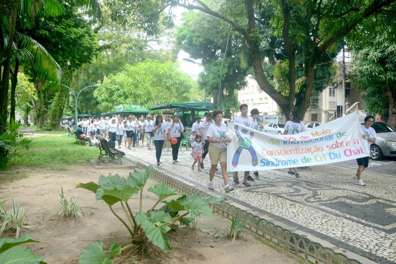 A rara Síndrome de Cri du Chat, também conhecida como Síndrome do Miado do Gato, mobilizou a sociedade neste sábado (5), durante uma caminhada na Praça Batista Campos, em Belém. A ação é alusiva ao Dia Internacional da Síndrome de Cri du Chat e busca conscientizar a população sobre a anomalia. Pais e profissionais da área da saúde participaram da ação educativa que contou com distribuição de panfletos informativos e uma caminhada pelo local. "Por ser rara, é muito difícil identificar a síndrome. Em Belém, temos conhecimento de apenas dois casos. Nossa intenção é sensibilizar os profissionais da área da saúde para que o diagnóstico seja precoce, já que os casos demoram anos para ter o diagnóstico fechado", explica a fonoaudióloga da Coordenadoria de Educação Especial (COEES), Priscila Salgado, mãe de uma criança portadora da síndrome.
FOTO: ELISEU DIAS / ASCOM SEDUC
DATA: 05.05.2018
BELÉM - PARÁ <div class='credito_fotos'>Foto: Eliseu Dias / Ascom Seduc | <a href='/midias/2018/originais/a585e60c-4cec-42fc-a70f-0551f0322791.jpg' download><i class='fa-solid fa-download'></i> Download</a></div>